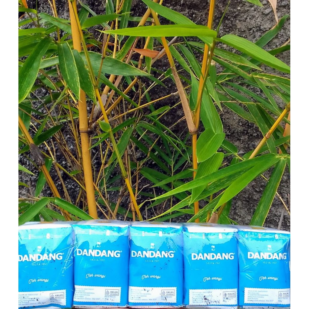 

TEH DANDANG BIRU isi 10 bungkus @ 40 gram ES TEH JUMBO