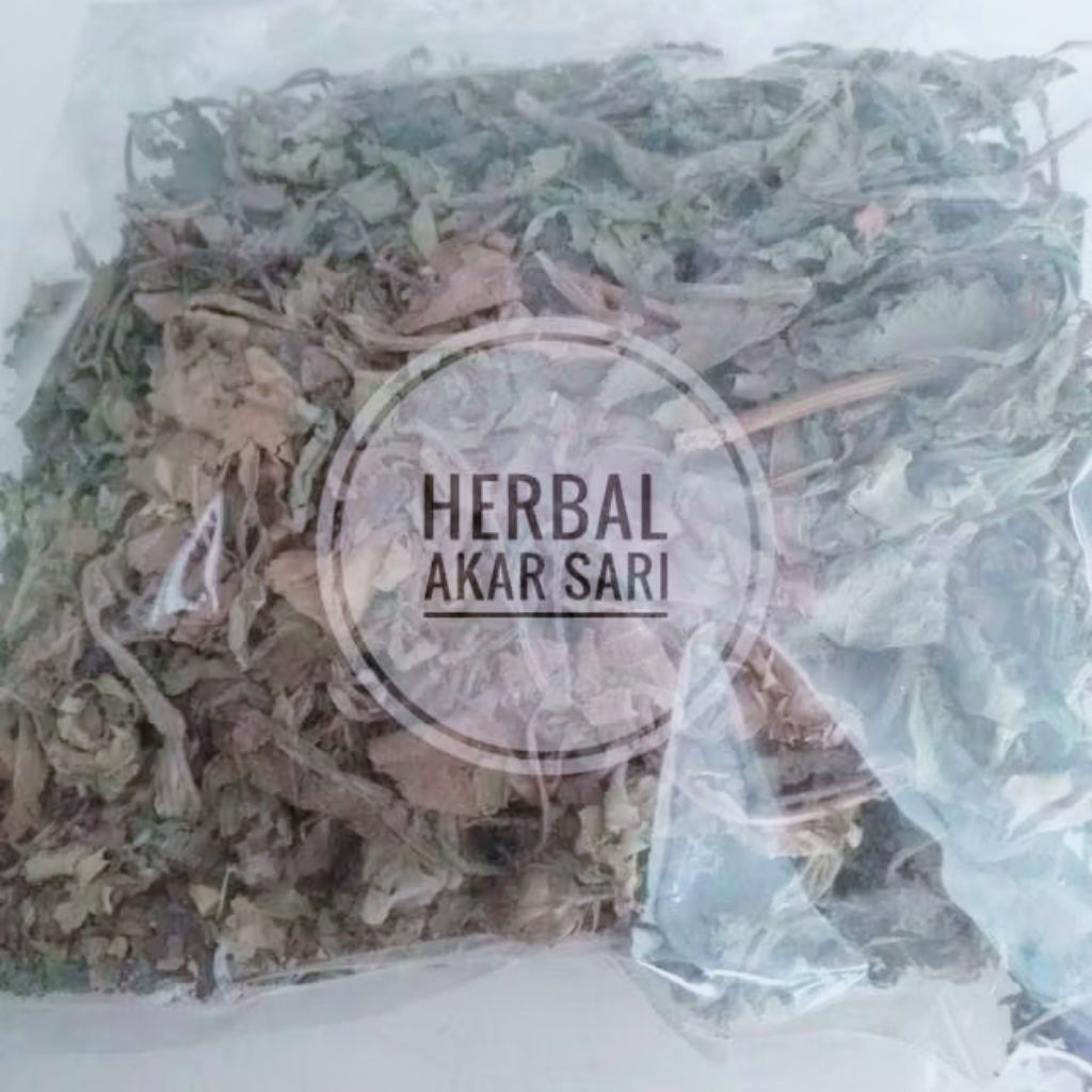 

Akar Sari - Daun Insulin Kering 100 Gram - Mengobati Diabetes