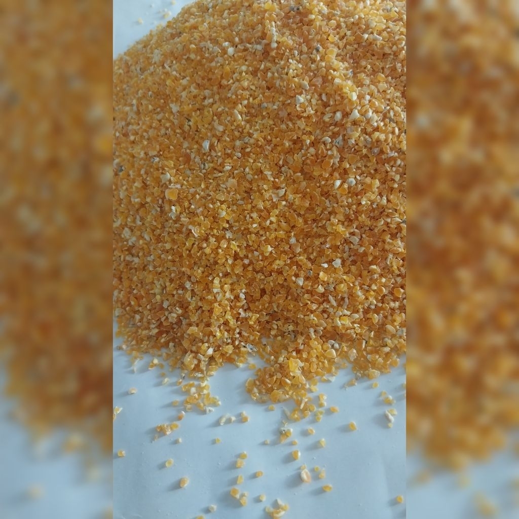 

Beras jagung giling asli Madura/baik untk diet dan mengontrol diabetes
