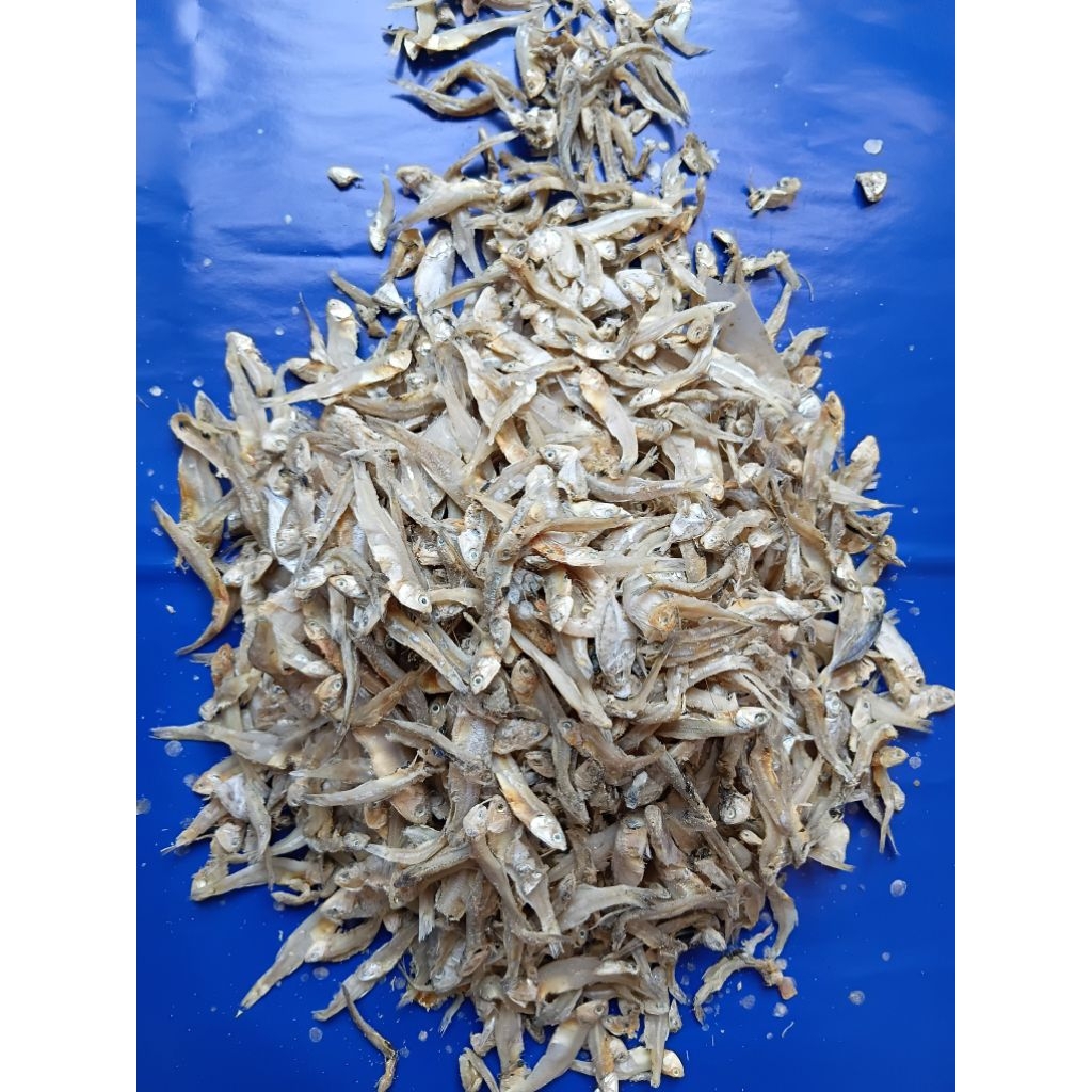 

1kg Ikan Asin Teri Daging Ikan Teri Ikan Asin Tipis Ikan Asin Kering