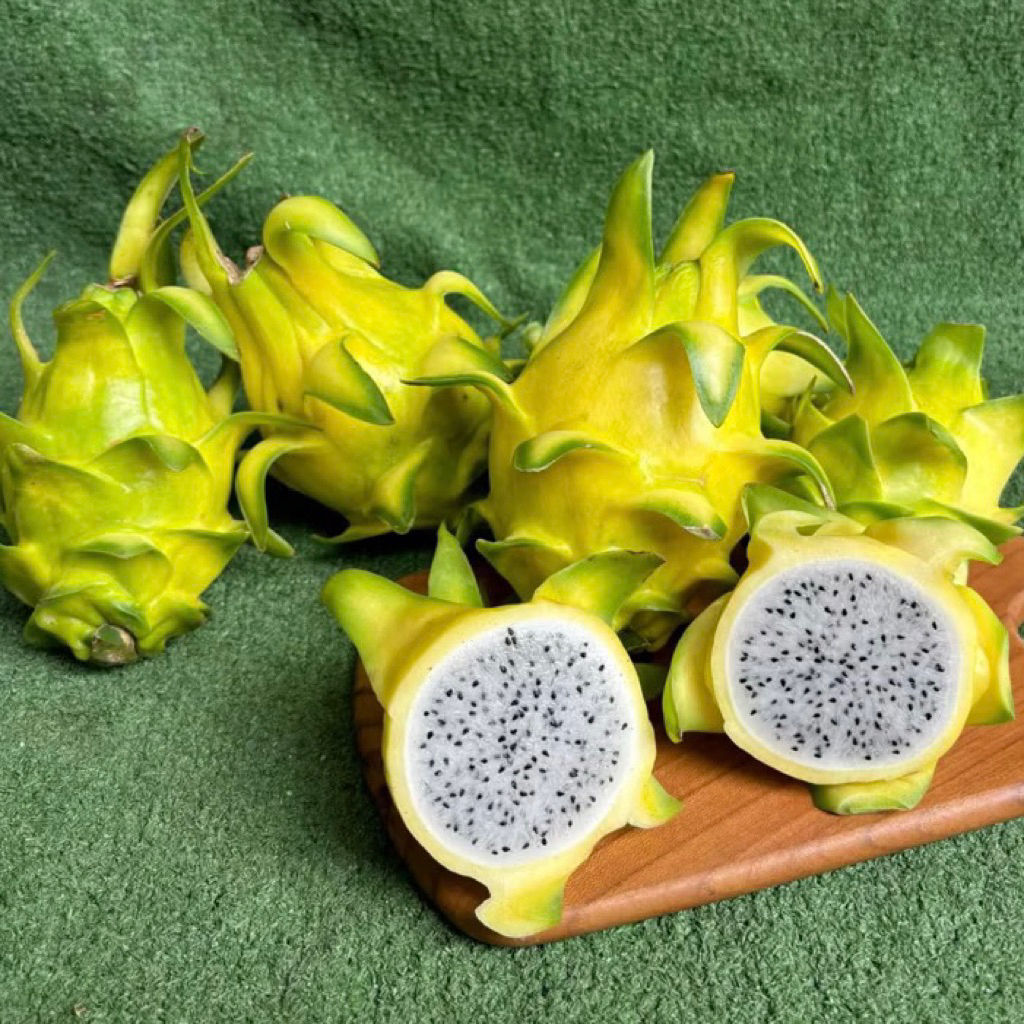 

Promo Naga Kuning Lokal Fresh 1kg