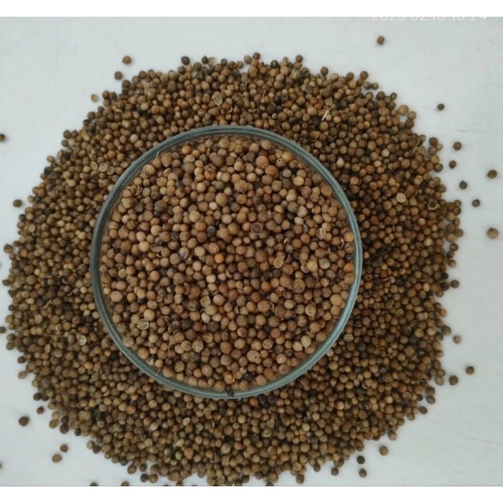 

Ketumbar Asli | Kemasan 500g ~ 1 kg | untuk Bumbu Dapur dan Kesehatan