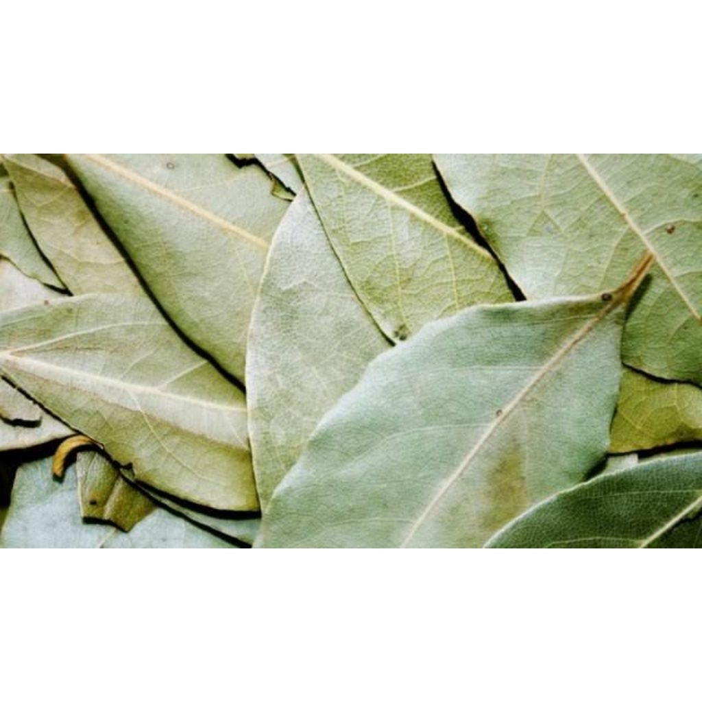 

Daun salam, bumbu penyedap rasa