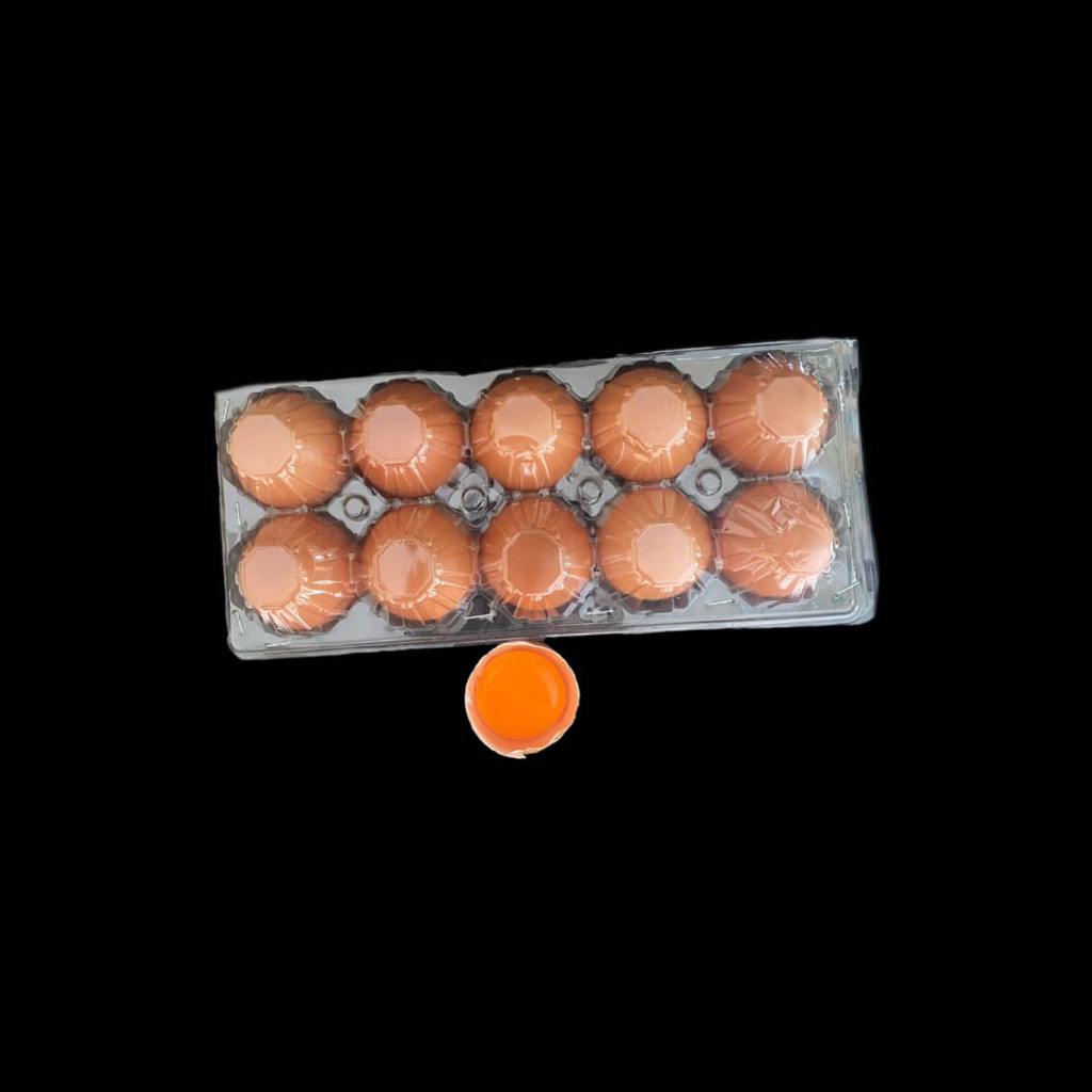 

TELUR AYAM OMEGA MIKA