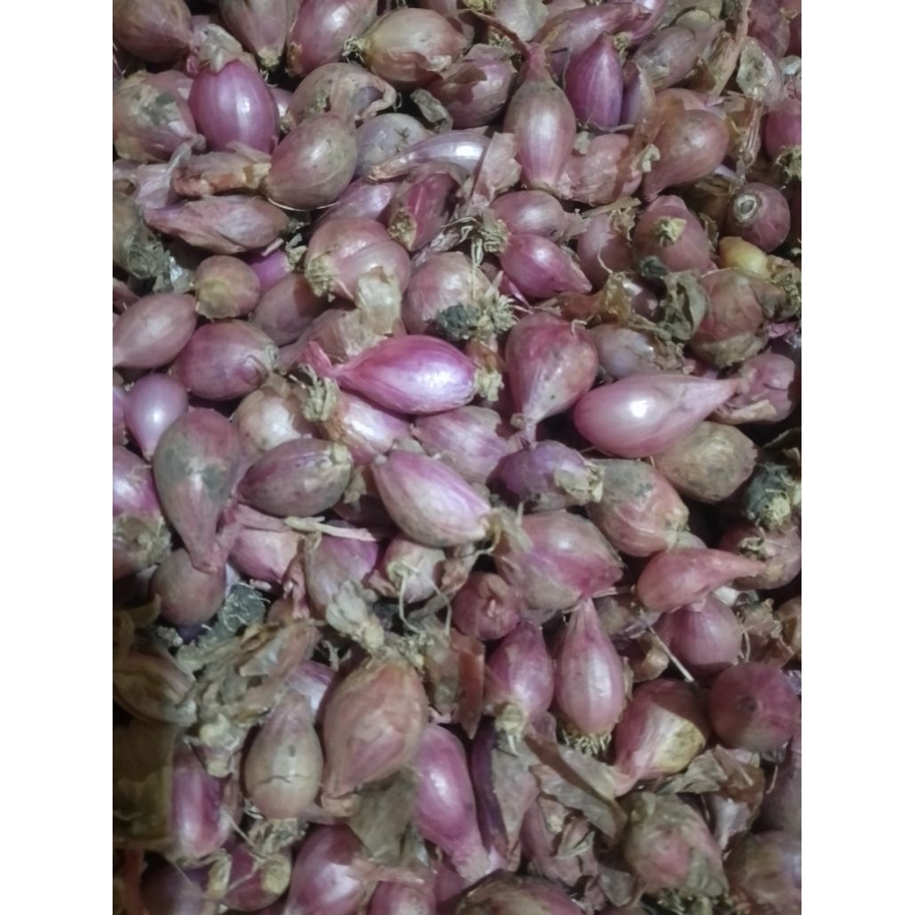 

bawang merah kecil 500gr