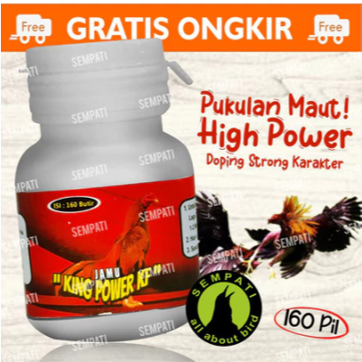 XZLB5265 Diskon   Rainbow Ayam Rambo Multi Vitamin Ayam Bangkok Obat Penambah Tenaga Ayam Aduan Dopp