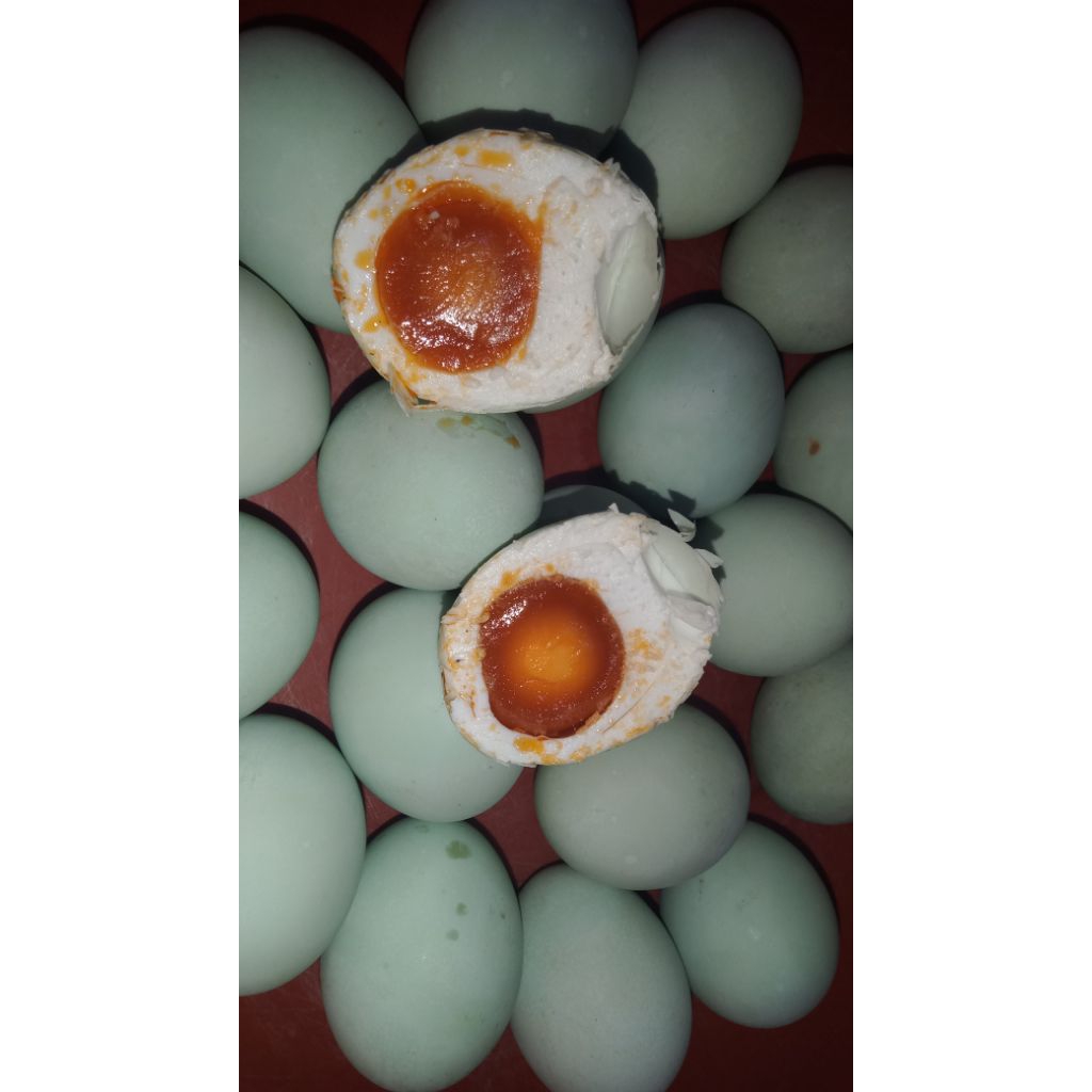 

Telur Asin Bebek Omega Koh Joy Isi 6/8/12