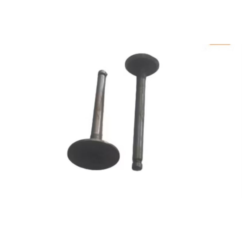 VALVE SET YANMAR TS50. klep ts50