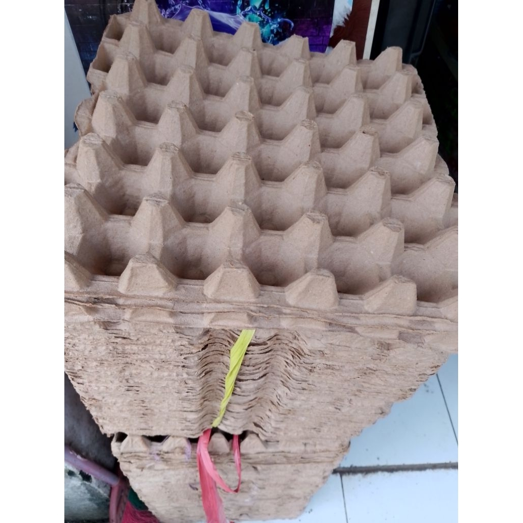 egg tray//wadah telor//karton bekas telor 30 butir//telor ayam//bebek//