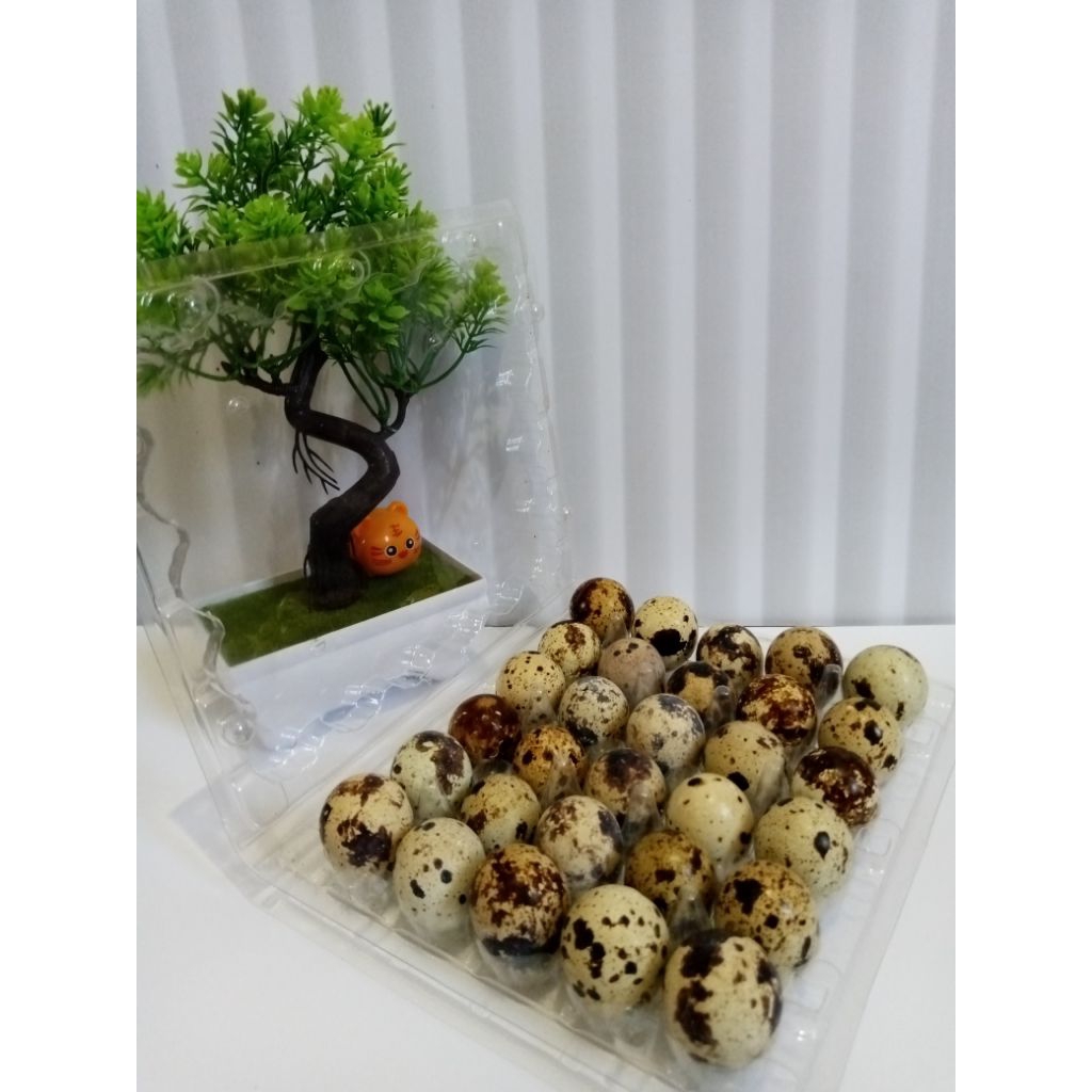 

Telur puyuh konsumsi fresh isi 30