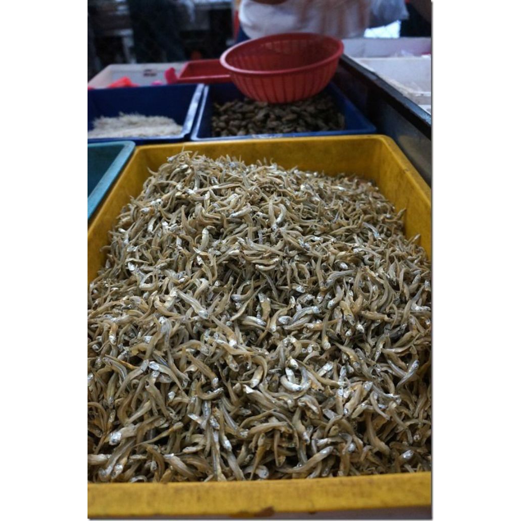 

Ikan Asin Teri Jengki