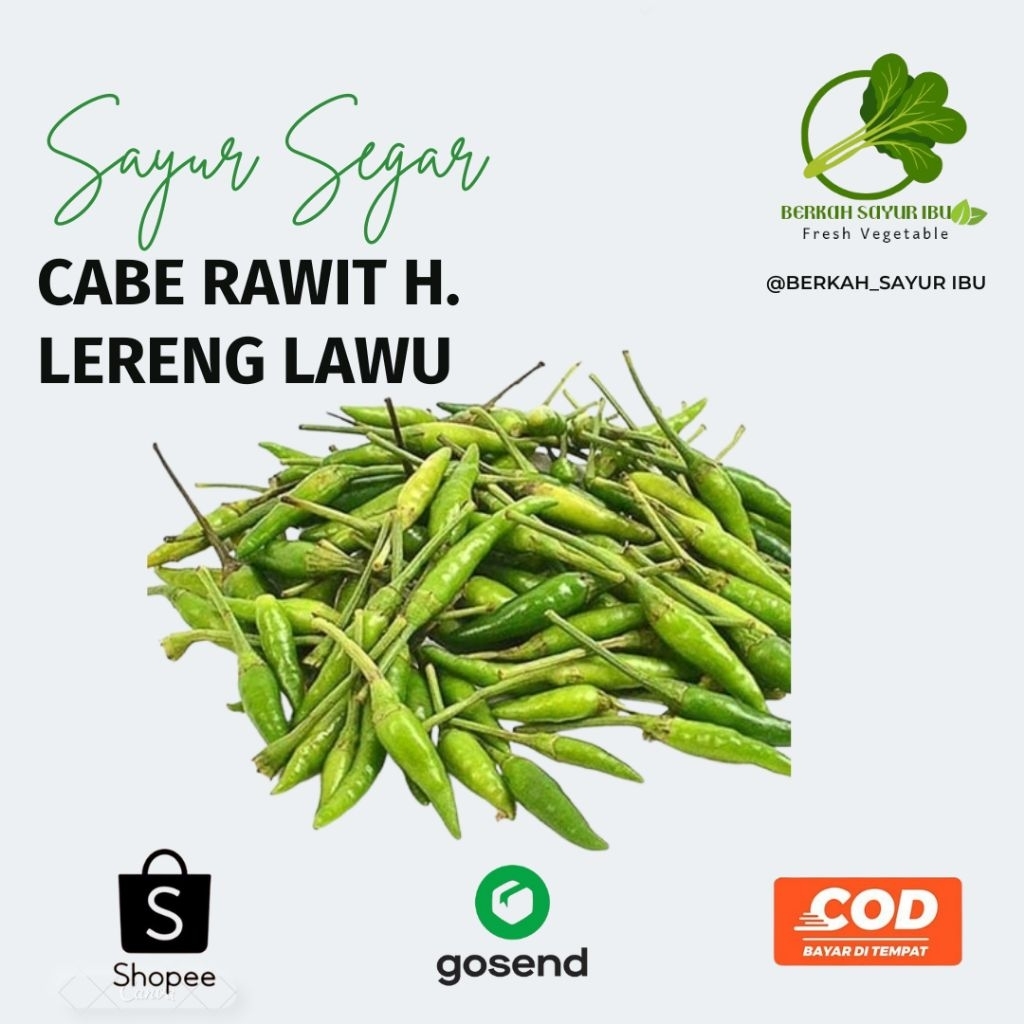 

BERKAH_SAYURIBU-Cabe Rawit Hijau