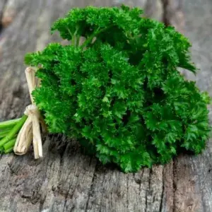 

Daun Parsley / Peterseli 50gr