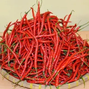 

Cabe Merah Kriting 100gr