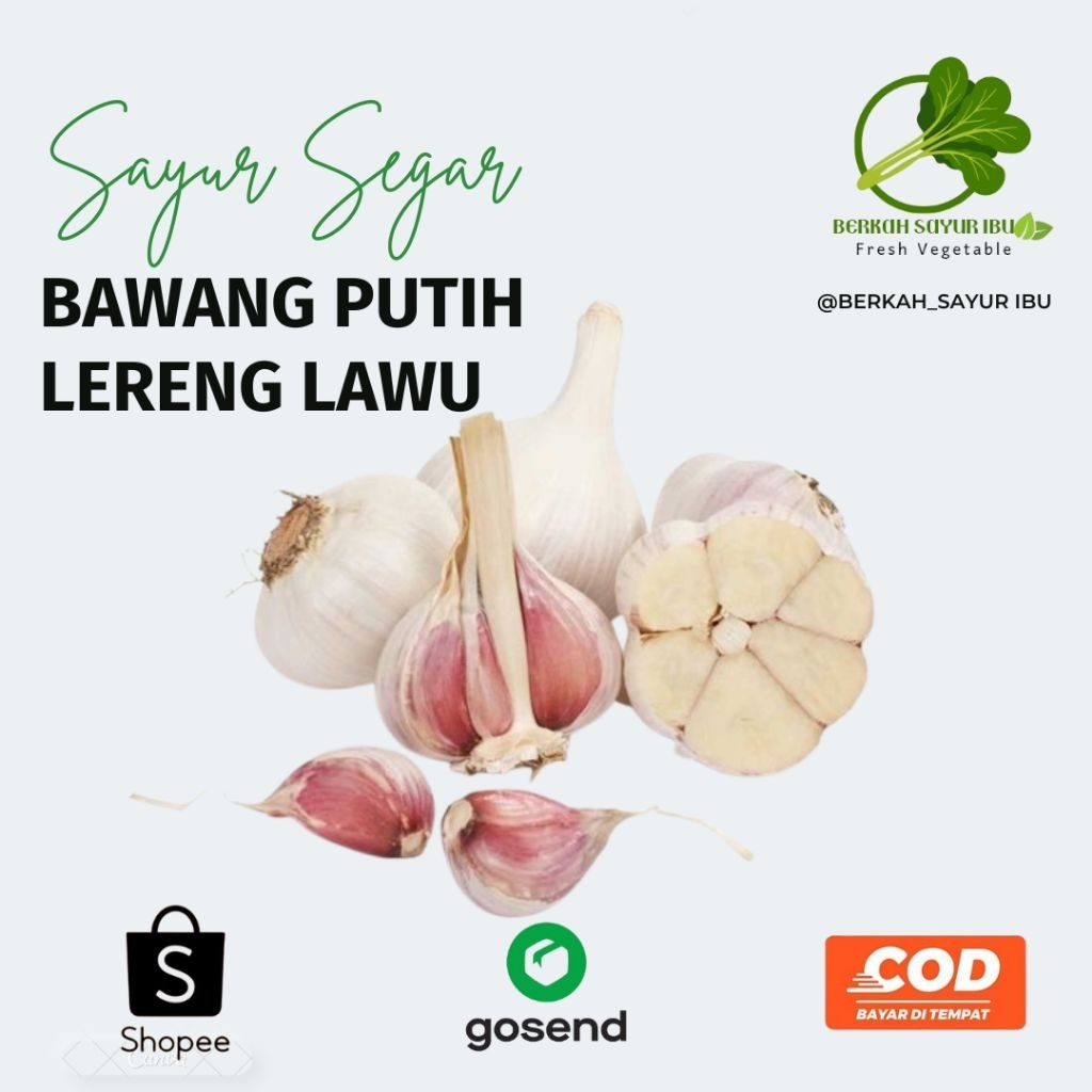 

BERKAH_SAYURIBU-Bawang Putih Lereng Lawu