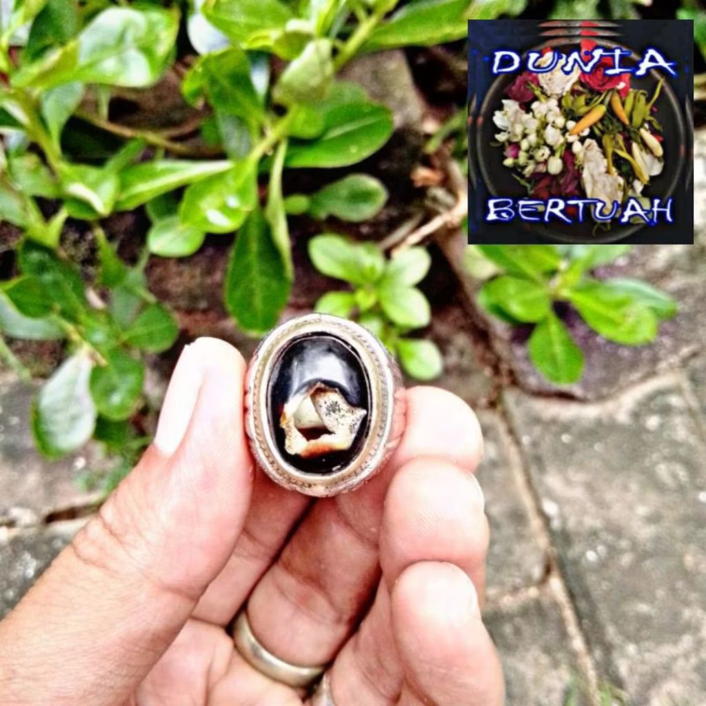 Cincin Batu akik combong wulung