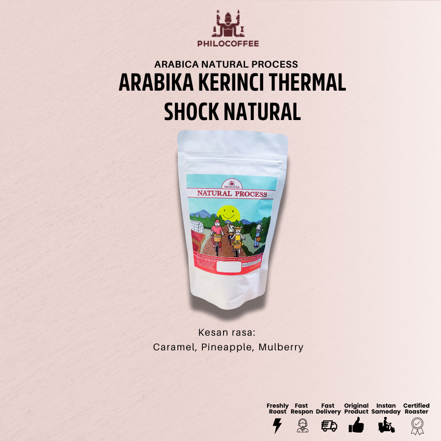

Kopi Arabika Kerinci Termal Shock Natural | Arabica Coffee - 50gr