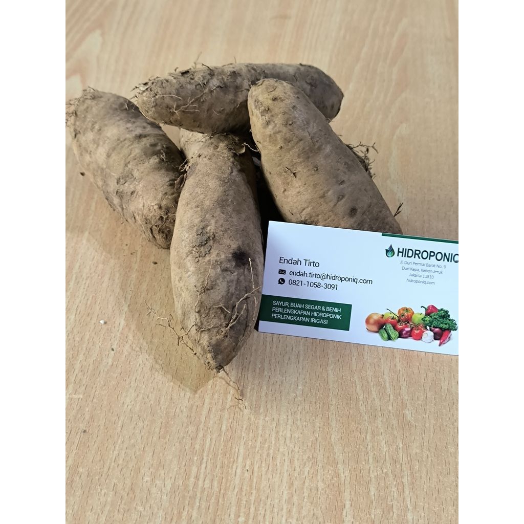 

Umbi Gembili/Kembili Organik 1kg