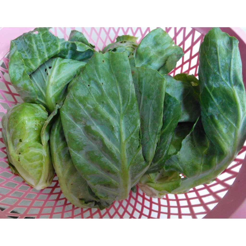 

Ceciwis / Ciwis / Keciwis / Cuciwis 250gr