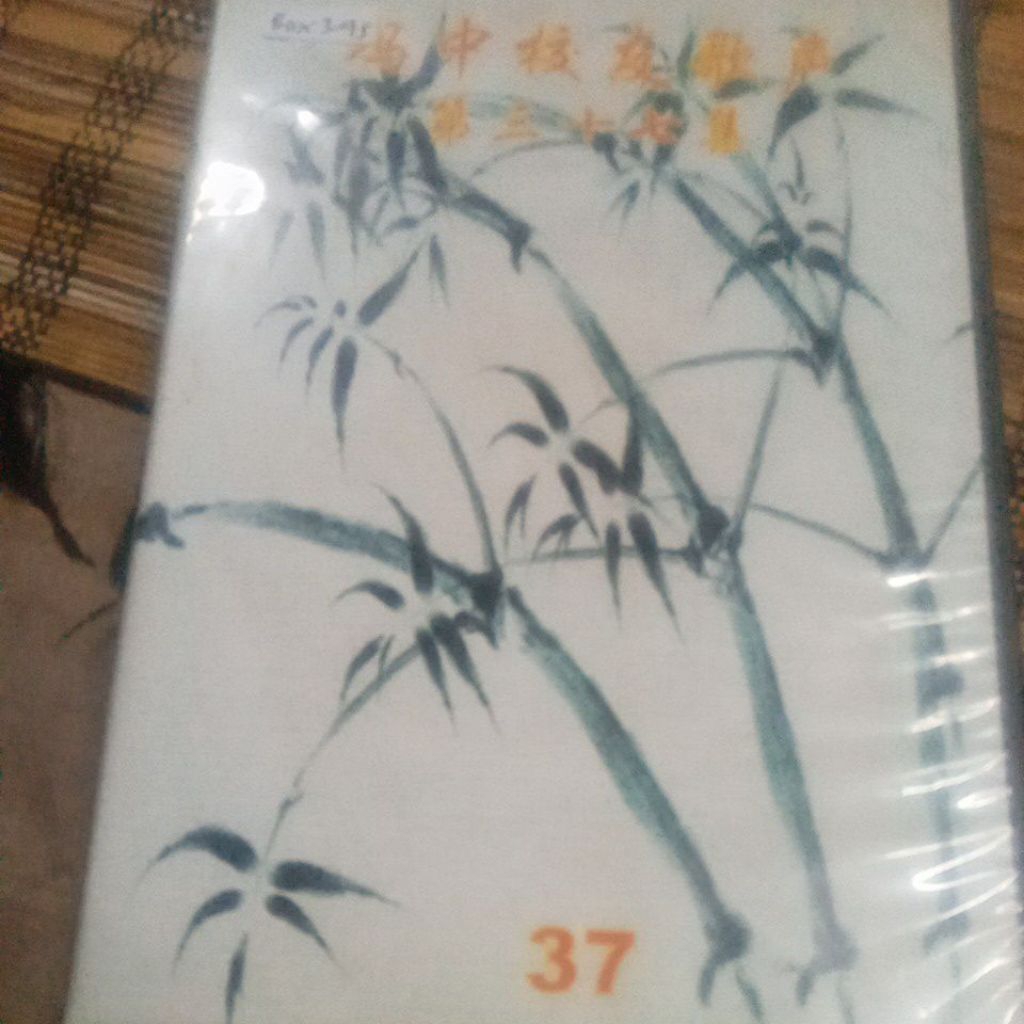 VCD LAGU MANDARIN  BOX345