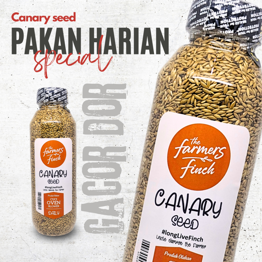 Kenari Seed Organic Bersih Canary seed 500ml