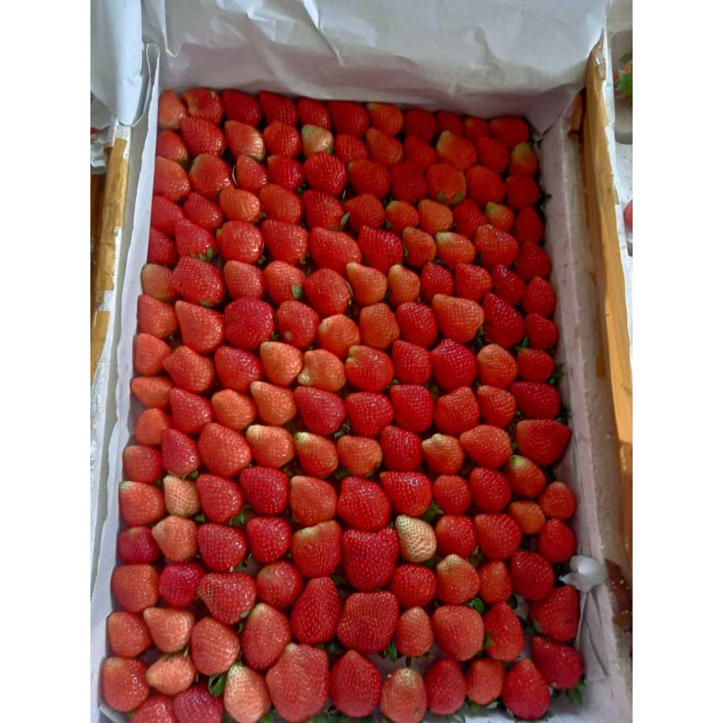 

Strawberry Grade A Curah 10Kg