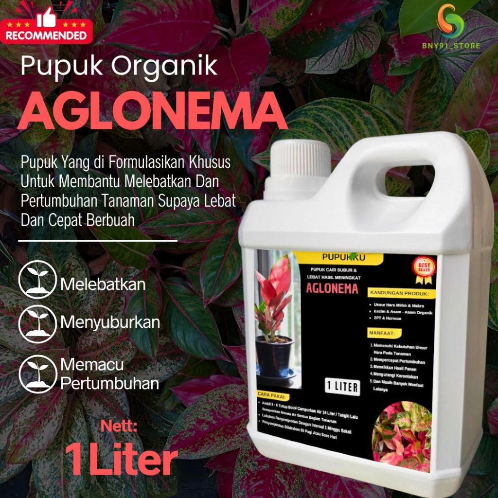 Pupuk Aglonema Premium Booster Aglonema Penyubur Daun Merah Perangsang Akar & Penguat Warna