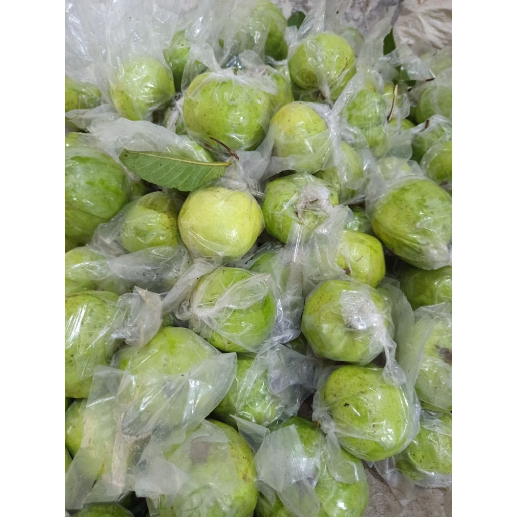 

Jambu kristal tanpa biji paket 1 kg