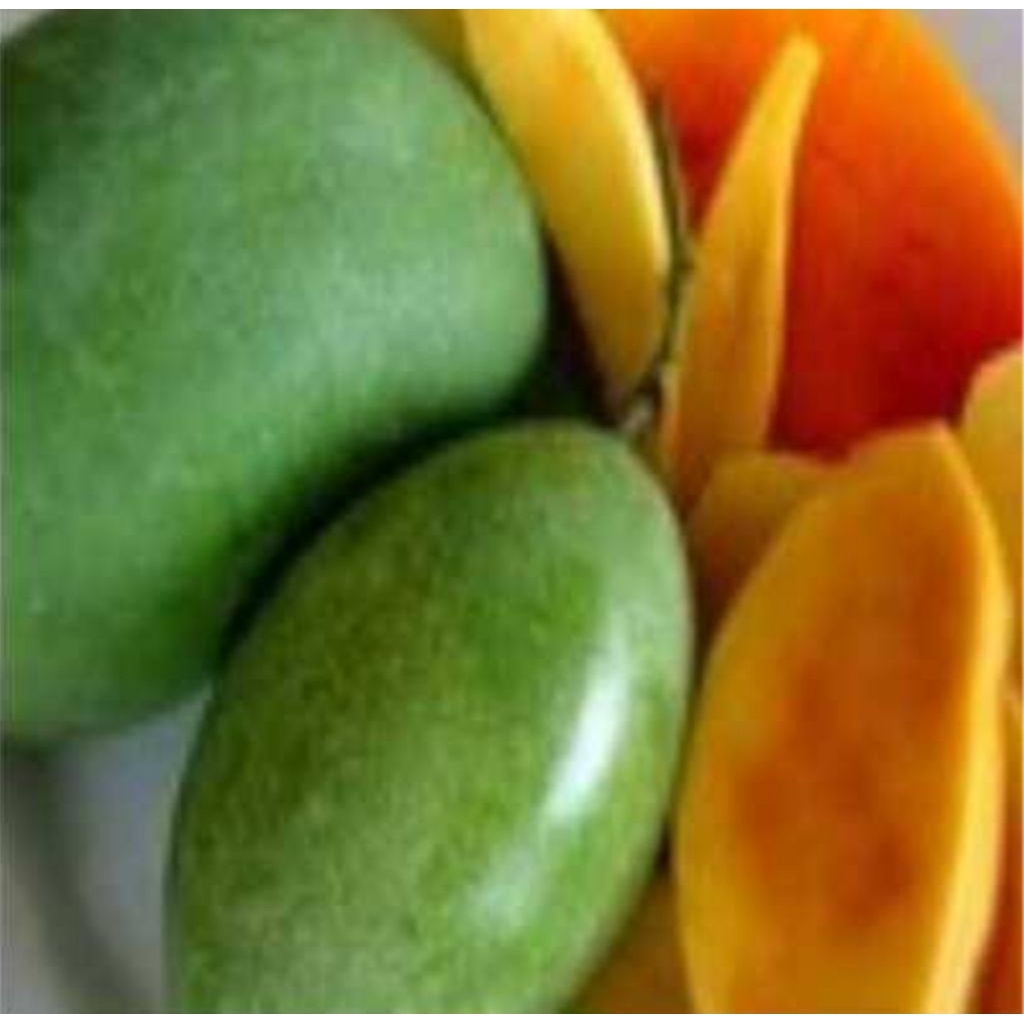 

buah mangga manalagi 1kg bppn