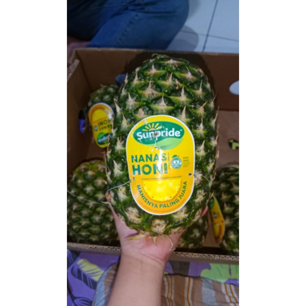 

nanas madu sunpride xxl