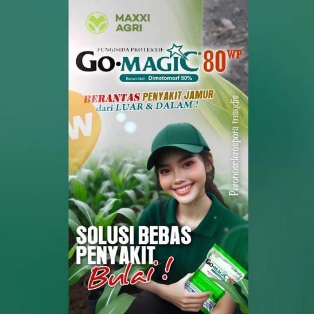Fungisida Go Magic 80WP mencegah Bulai pada tanaman jagung