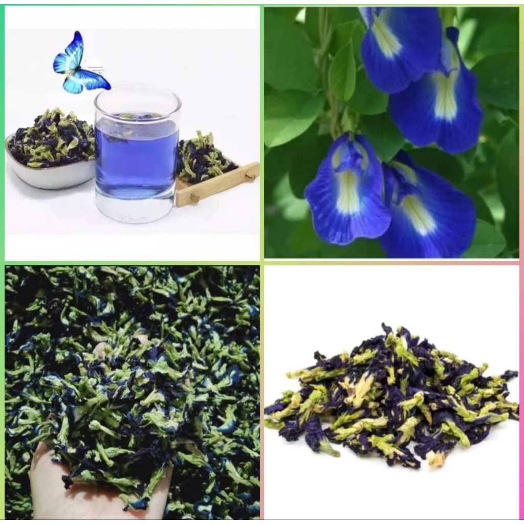 

Bunga telang /teh bunga telang kering /teh biru/butterfly pea