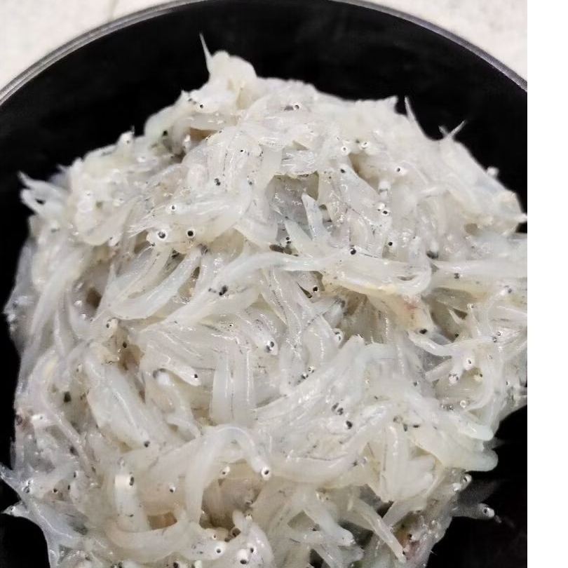 

Ikan Teri Nasi Basah Segar Tawar • MPASI Bayi • Anchovy