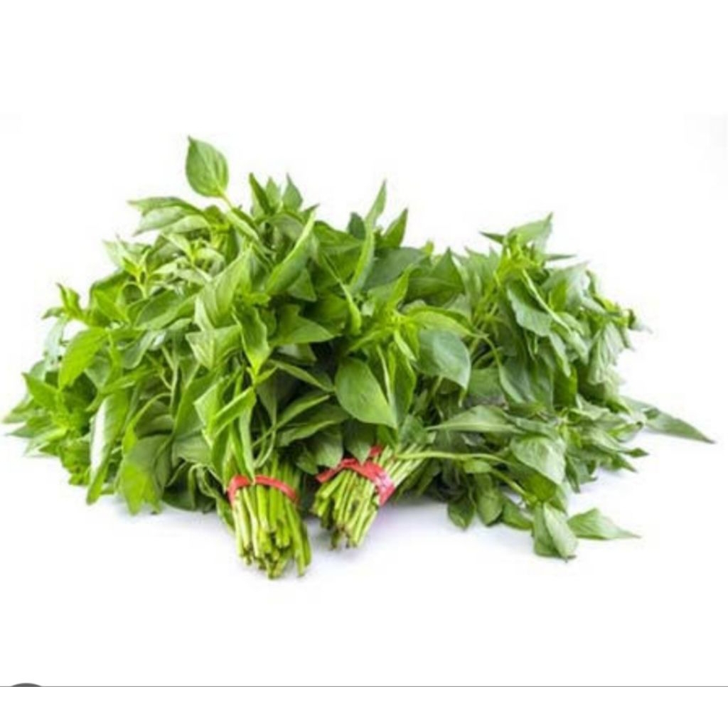 

daun kamangi 1 ikat bppn