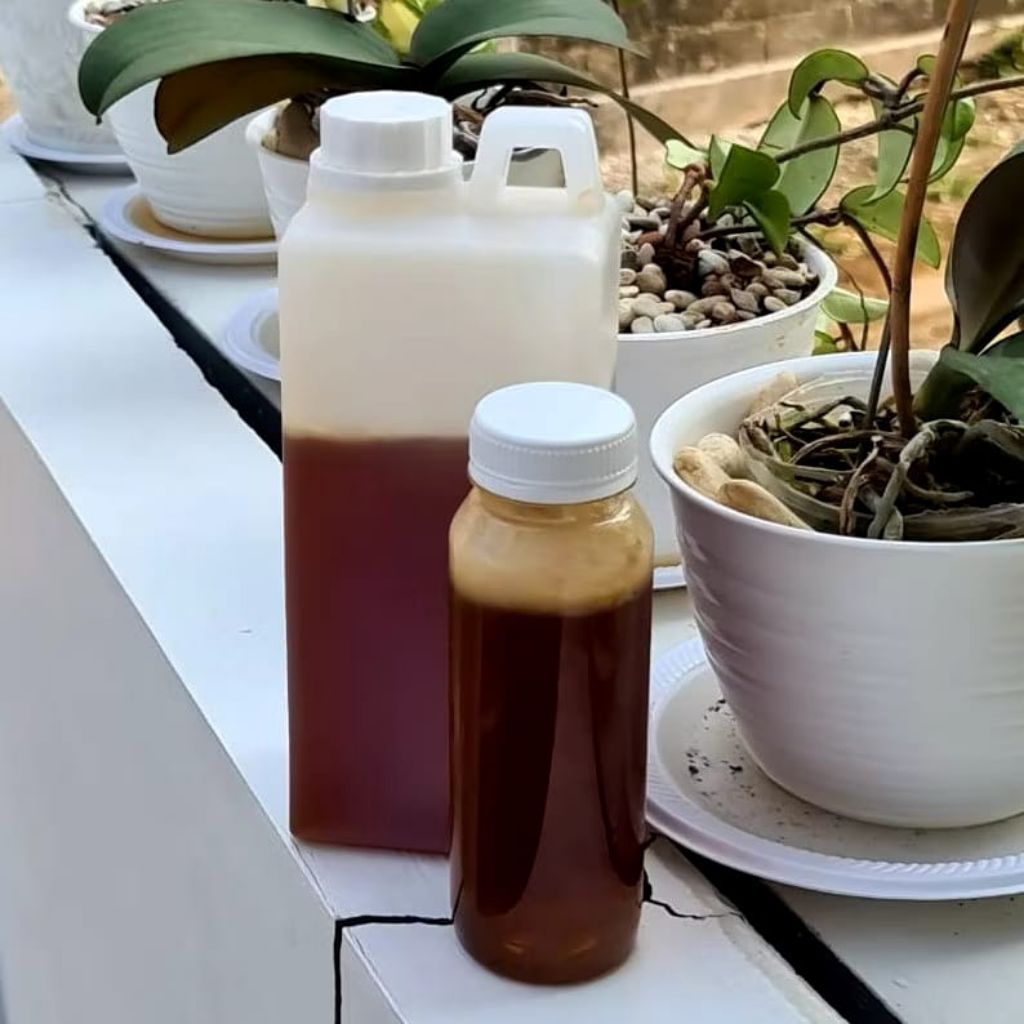 

Madu Uniflora Curah 1 kg