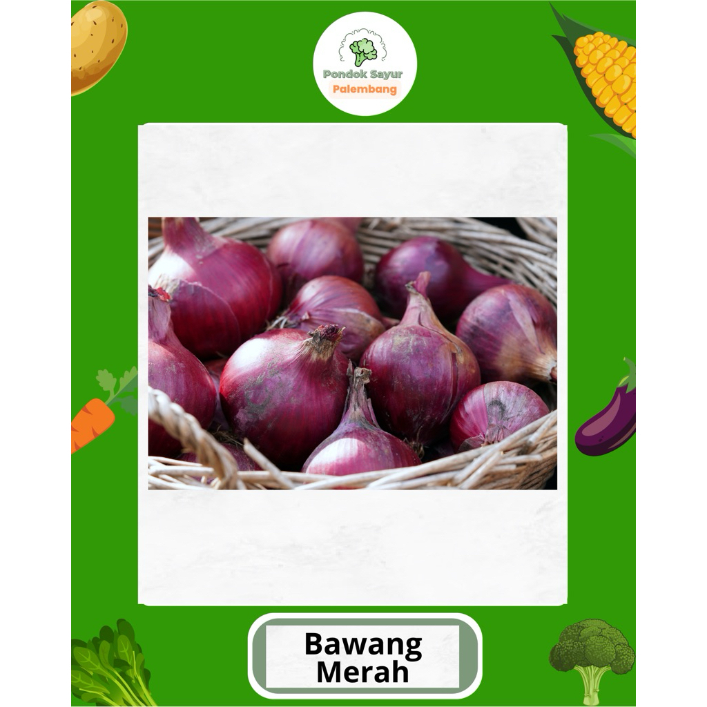 

BAWANG MERAH