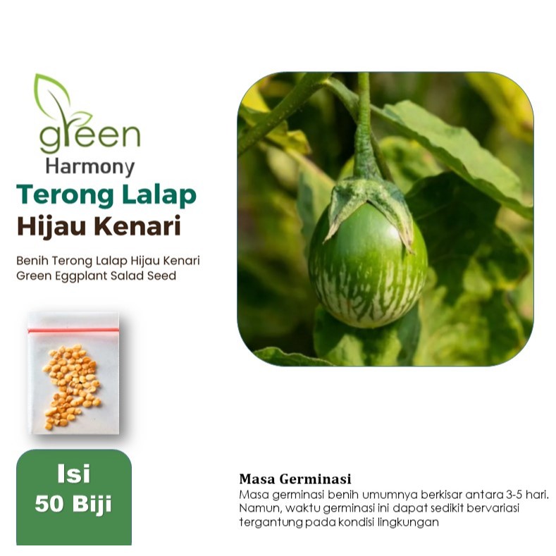 Bibit Sayuran Terong Lalap Hijau Kenari Unggul