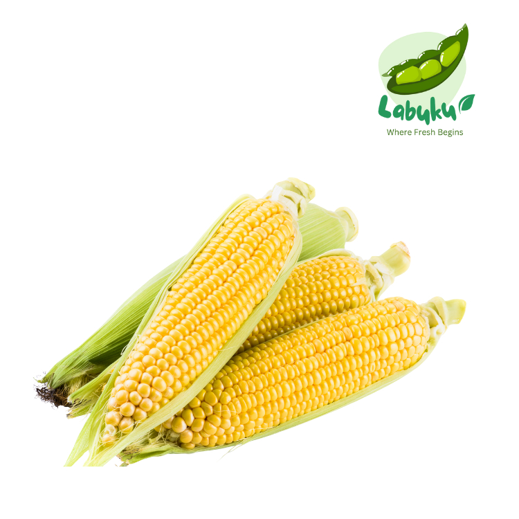 

Labuku – Jagung Manis Segar Premium Lokal
