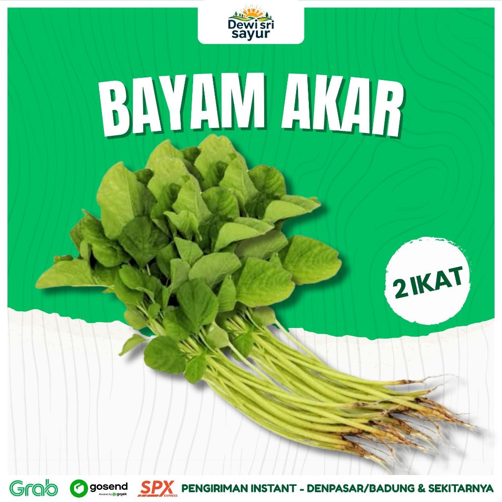 

Bayam Akar 2 Ikat – Dewi Sri Sayur