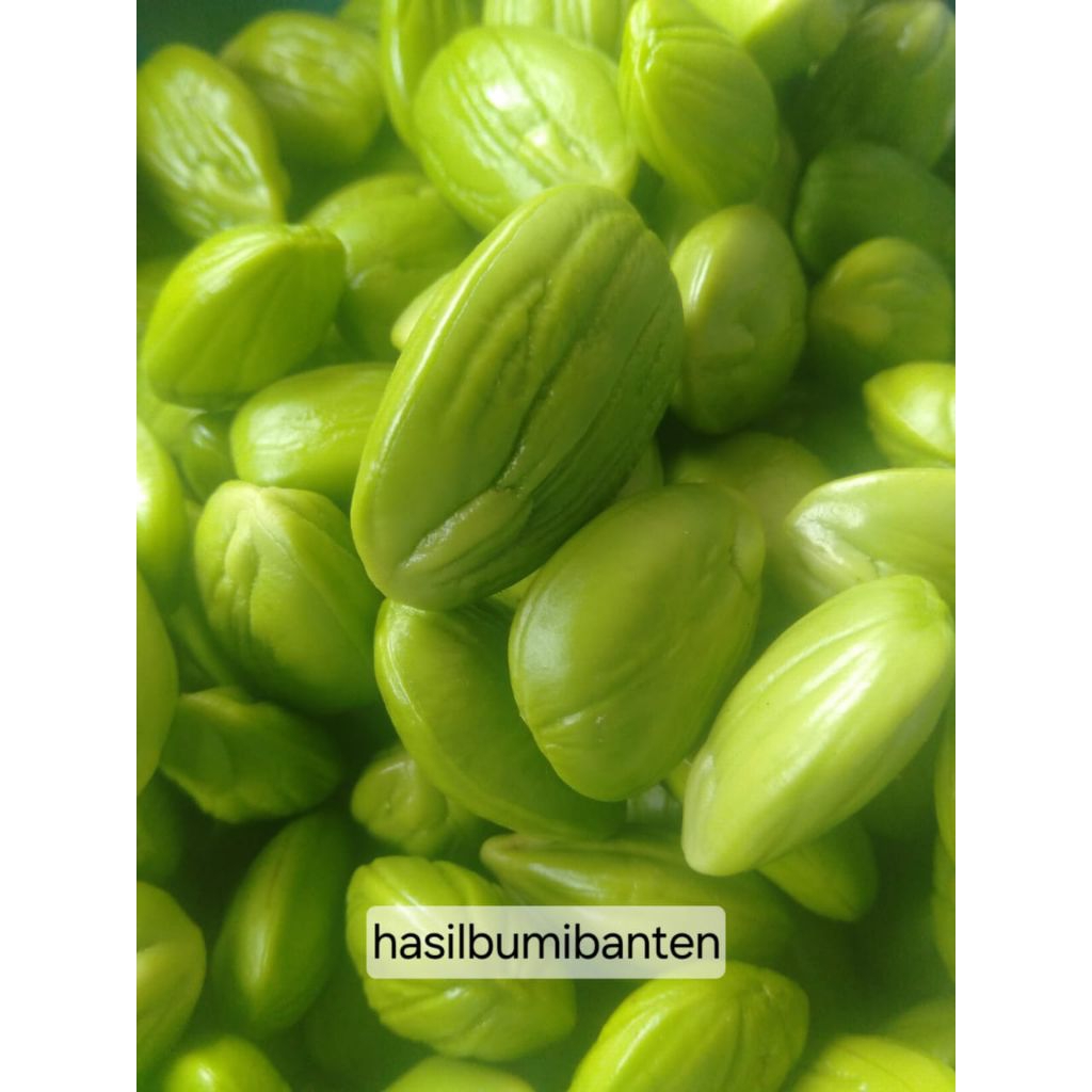 

PETE/PETAI KUPAS 250gr TUA SUPER