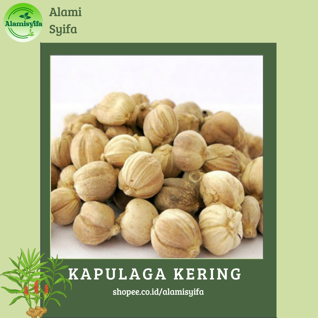 

KAPULAGA KERING DAN BERSIH KAPOL KERING BERAT 250 Gram