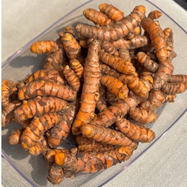 

Kunyit Segar Asli Lokal 1kg Bumbu masak & Obat