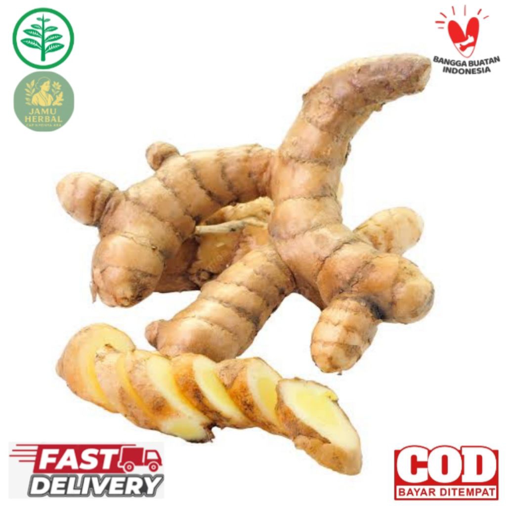 

TERMURAH | Temu putih 1kg - Herbal By Aromea