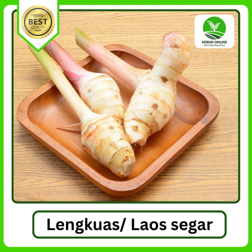 

Lengkuas/ Laos Fresh [500g] COD