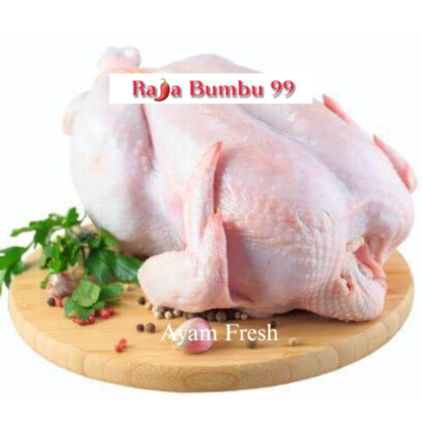 

Ayam Fresh 1 Ekor