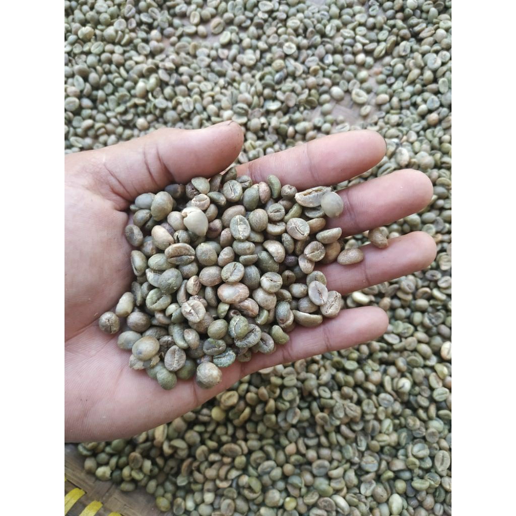 

biji kopi mentah(GREENBEAN) robusta 1kg | siap roasting