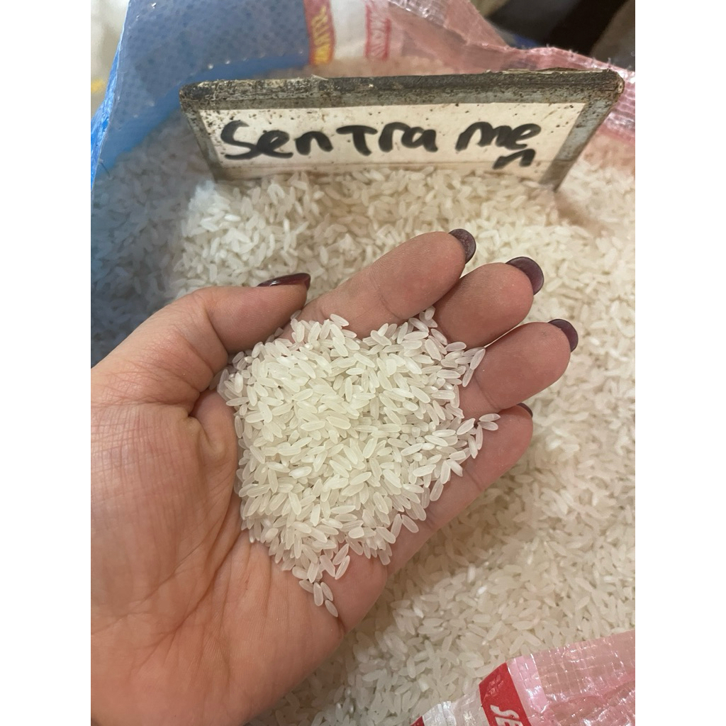 

beras sentramen ngembang