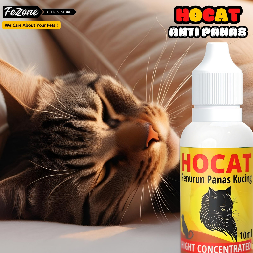 HOCAT Kucing Obat Penurun Demam & Sakit Panas FEZONE