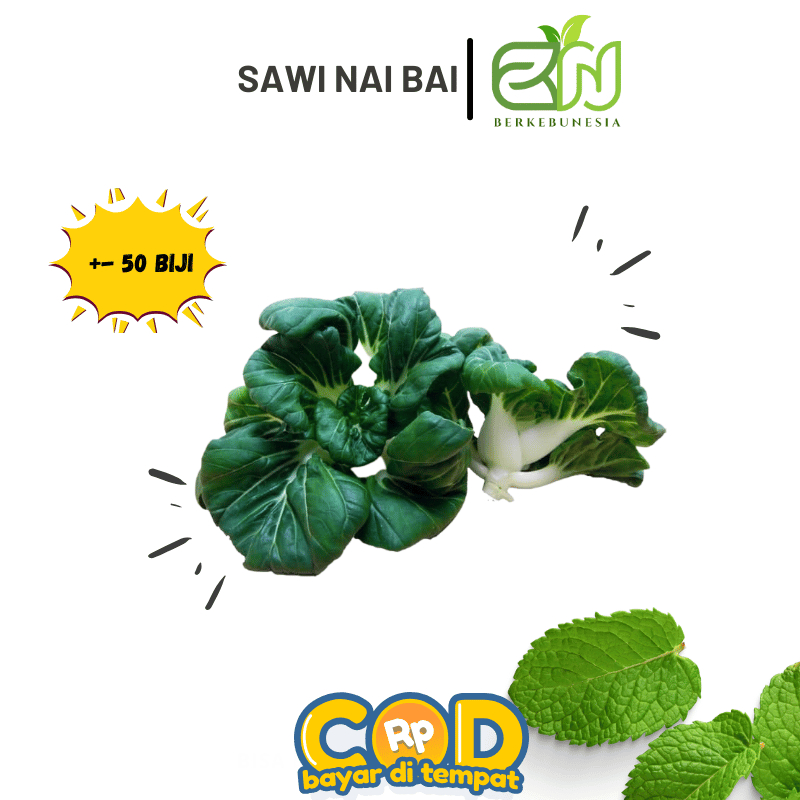 Benih Sawi Nai Bai (Baby Pak Coy) Bibit Biji Sayuran Daun Sawi Nai Bai