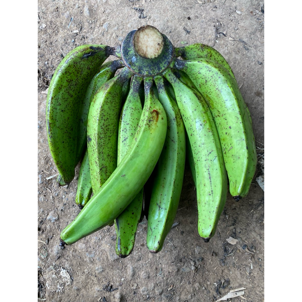 

Pisang kapas fresh 1kg